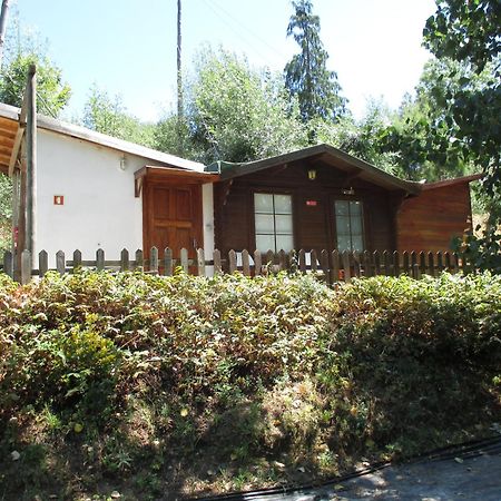Bungalow "A Choupana" - Quinta Da Carvoica - Vale Pradinhos Vale de Pradinhos Exterior photo