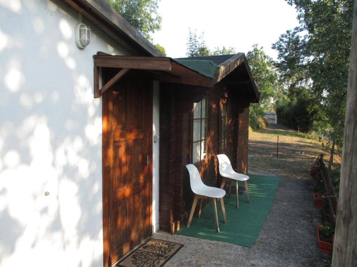 Bungalow "A Choupana" - Quinta Da Carvoica - Vale Pradinhos Vale de Pradinhos Exterior photo