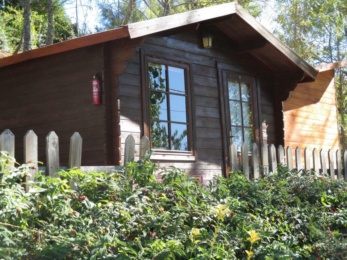 Bungalow "A Choupana" - Quinta Da Carvoica - Vale Pradinhos Vale de Pradinhos Exterior photo